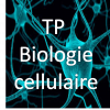 tp biologie cellulaire