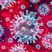 Coronavirus Coronavirus